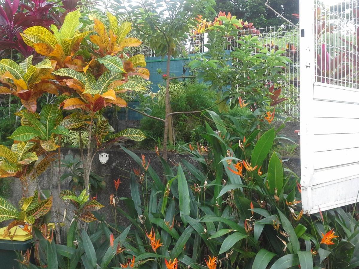 Chez Regine Apartment Le Robert Ngoại thất bức ảnh